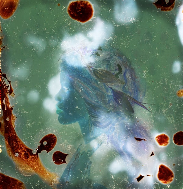 Aline Smithson Melanesia, 2017 Archival Pigment Print 16 x 16 inches