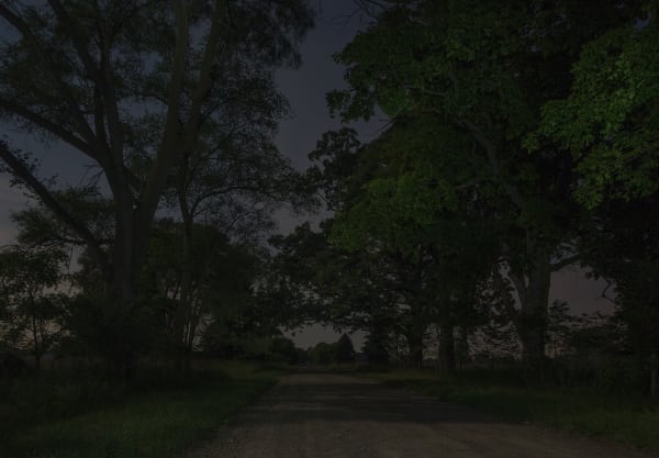 Jeanine Michna-Bales Dirt Road. Outside Coldwater, Michigan, 2014 Archival Pigment Print 17 x 24 1/2 inches Edition of 9 (Edition record)