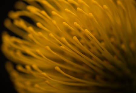 Allen Cooley, Untitled #16, 2014