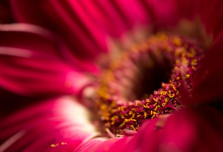 Allen Cooley, Untitled #6, 2014