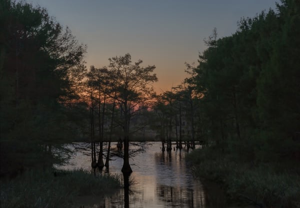 Jeanine Michna-Bales Wading Prior to Blackness. Grant Parish, Louisiana, 2014 Archival Pigment Print 17 x 24 1/2 inches Edition of 9 (Edition record)