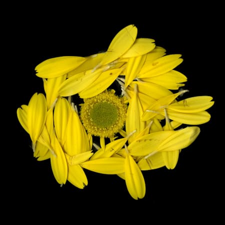 Deconstructed #3