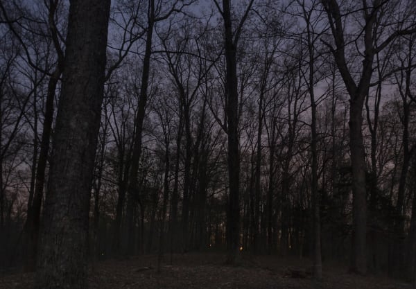 Jeanine Michna-Bales Fleeing the Torches. Warren County, Kentucky, 2014 Archival Pigment Print 17 x 24 1/2 inches Edition of 9 (Edition record)