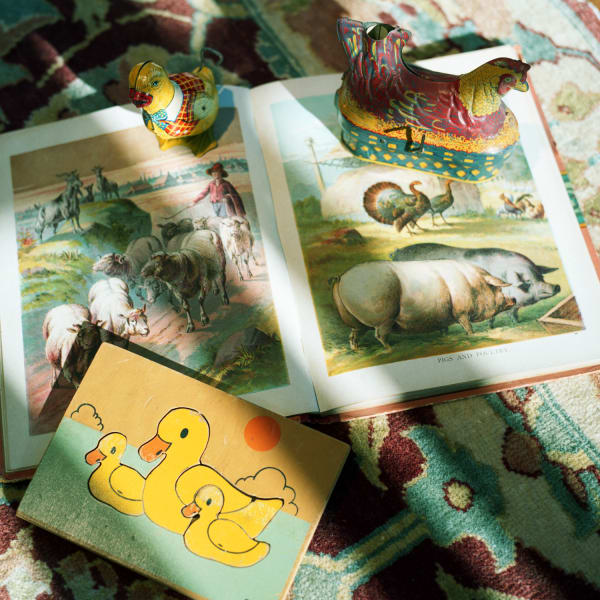 Ducks and Pigs