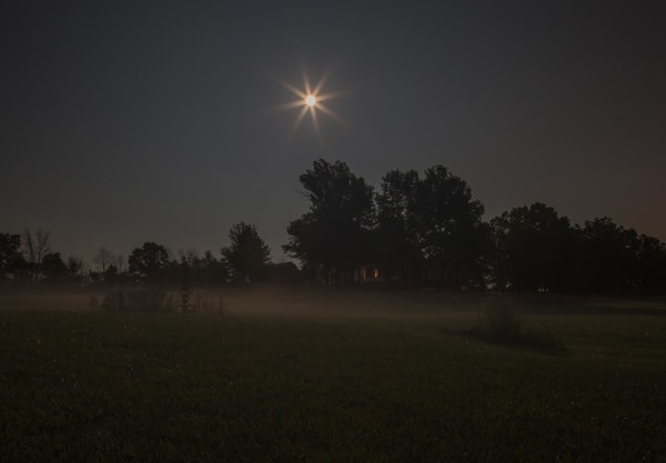 Jeanine Michna-Bales Lying Low. William Cornell House, outside Auburn, Indiana, 2014 Archival Pigment Print 24 x 17 1/2 inches Edition of 9 (Edition record)