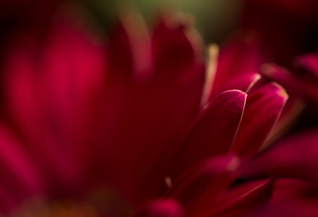 Allen Cooley, Untitled #7, 2014