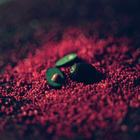 I wonder Do crooked little girls grow into gnarled women Knobby limbs curled defensively around frail body Brittle brown trunk Do crooked little girls grow into gnarled women Do their leaves shrivel, crackled off splintered branches At the mention o