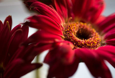 Allen Cooley, Untitled #5, 2014