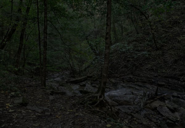 Jeanine Michna-Bales Taking to The Hollow. Davidson County, Tennessee, 2014 digital chromogenic print 17 x 24 1/2 inches Edition of 9 (Edition record)