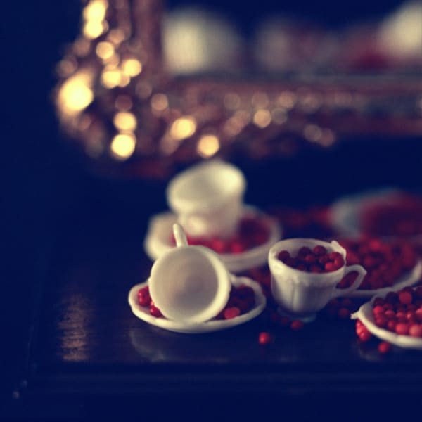 the red globes bloomed from my fingertips she always told me never to cry in water for fear that tears would turn to blood these days I swim in a sanguine sea