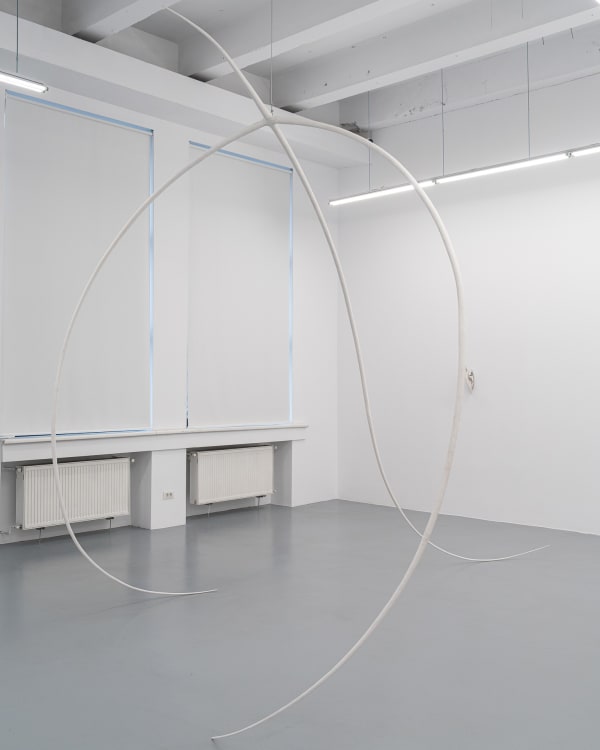 Florina Drăguș, Uplifting Claw, 2025