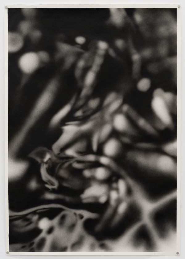 Radu Pandele, Now, Talk! 11, 2025