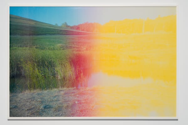 Răzvan Neagoe, Landscape 1, 2024