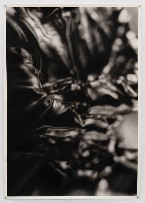 Radu Pandele, Now, Talk! 4, 2025