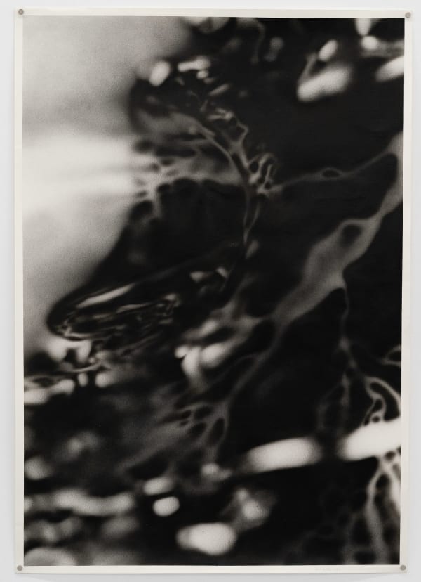 Radu Pandele, Now, Talk! 12, 2025