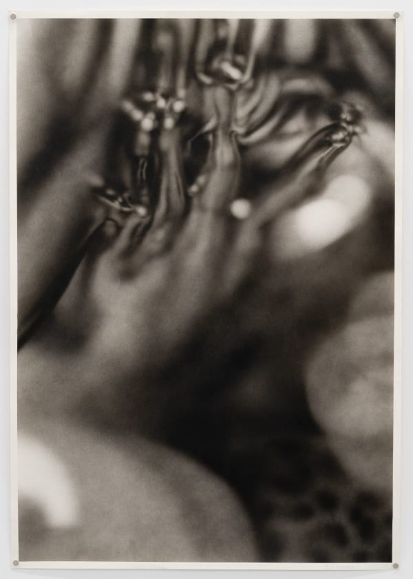 Radu Pandele, Now, Talk! 14, 2025