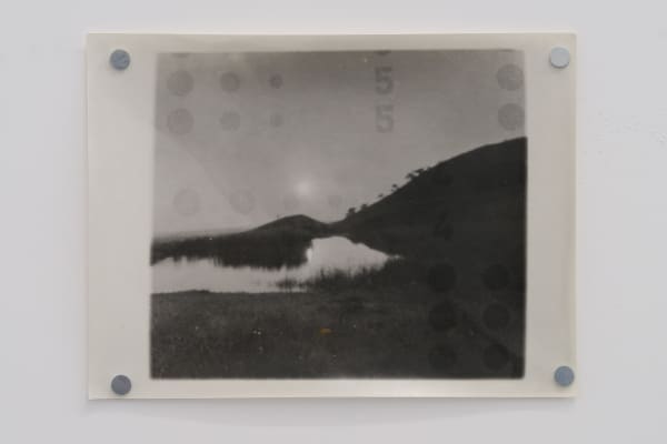 Răzvan Neagoe, Landscape, 2022