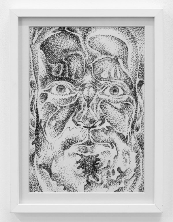 Radu Pandele, Tiger 6, 2025