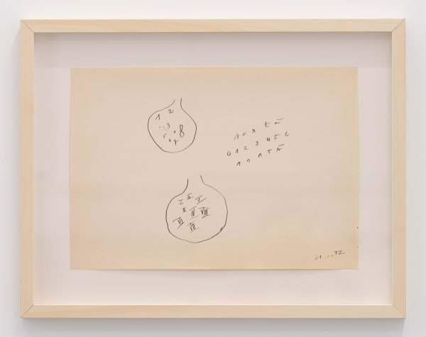 Florin Mitroi, 21.6.1972, 1972