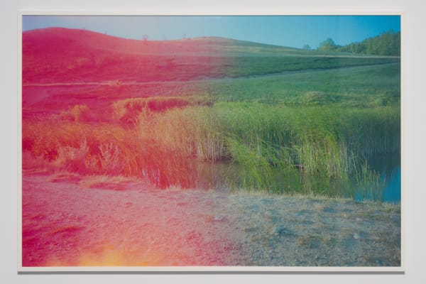 Răzvan Neagoe, Landscape 2, 2024