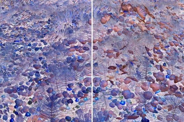 Dezső Tamás (1978), Garden II., 2017 - 2022