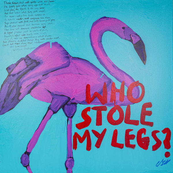 Caroline Boff, The Questionable Flamingo