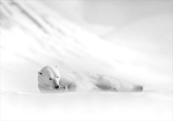 LARS BEUSKER, SUNDAYS
