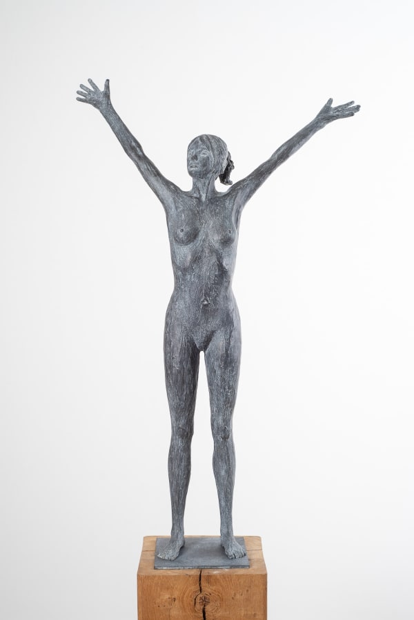 LINDE ERGO, FREEDOM (middelgroot)