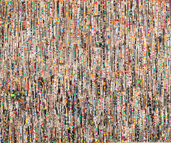 NELE JACOBS, THE FOREST