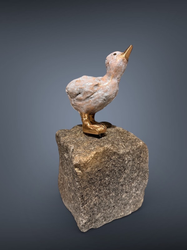 PETRA DORST, BIG DREAMS TO FLY