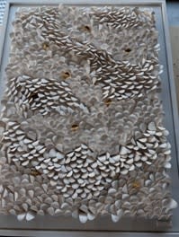 ANS PULLENS, WAVE TOUCH OF GOLD (1025/077)