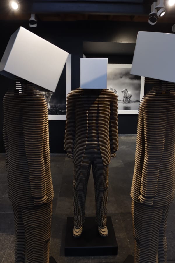 MARIANNE TURCK, LOOKING FOR CONNECTION