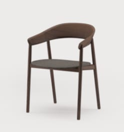 ARTISAN INSAN, JANU chair with armrest