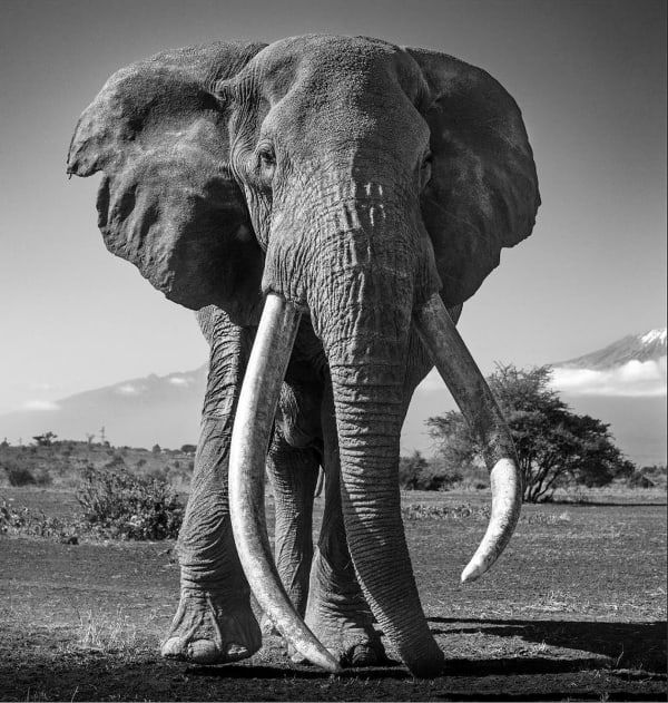 LARS BEUSKER, I AM CRAIG