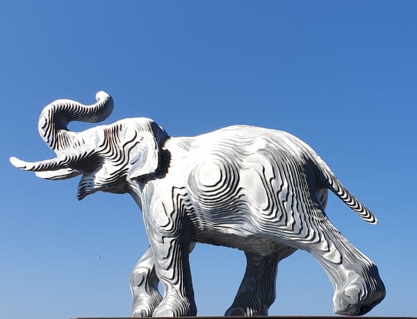 JEAN PAUL KALA, SAVANA 1/8