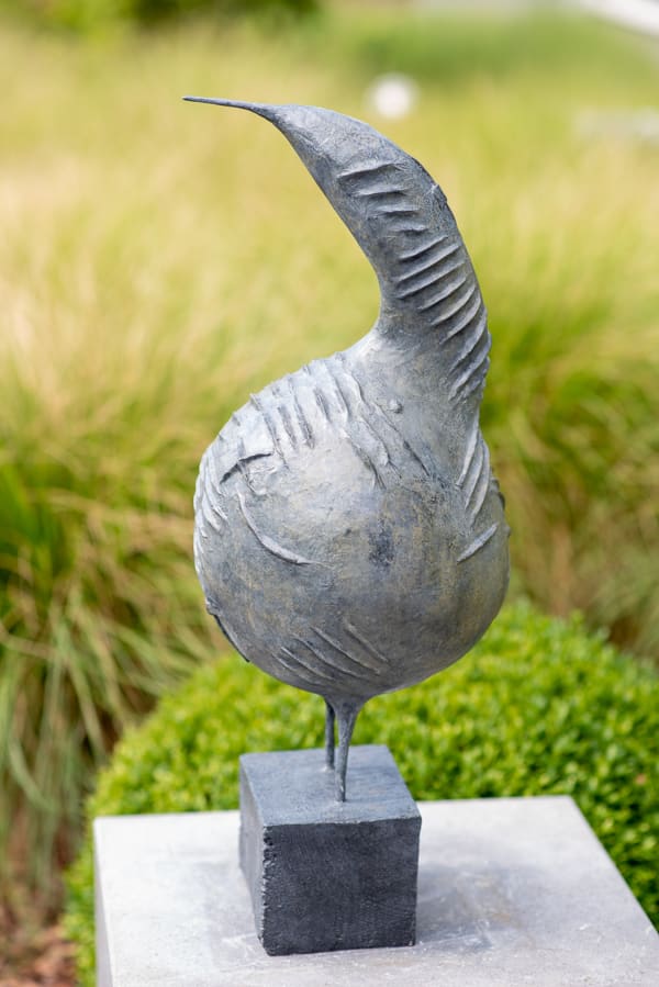 MICHEL FLAMME, CUCULUS NEBULARIUS