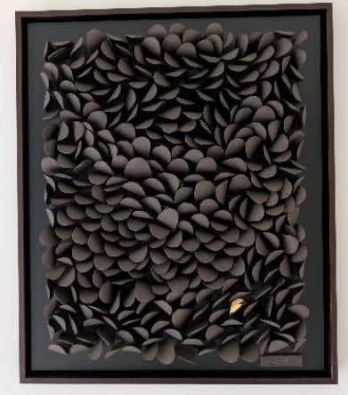 ANS PULLENS, WAVE NIGRA TOUCH OF GOLD (1025/100)