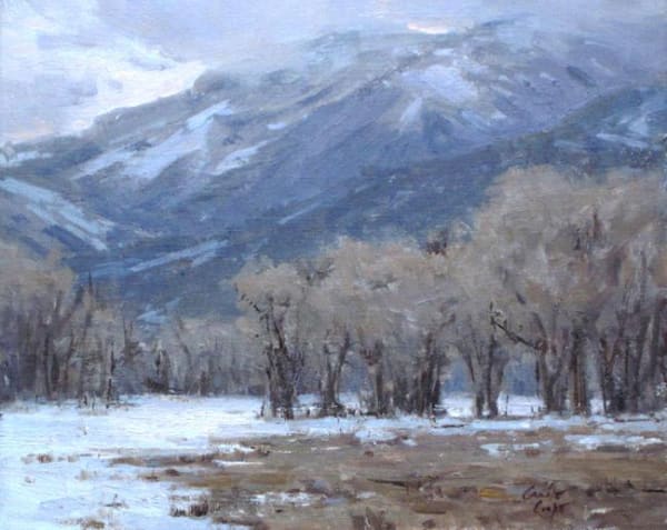 Carole Cooke, Winter Break