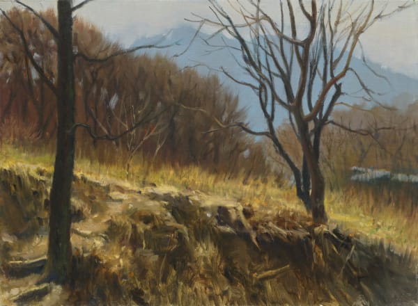 김소정 KIM, So Jeong, winter tree, 2009