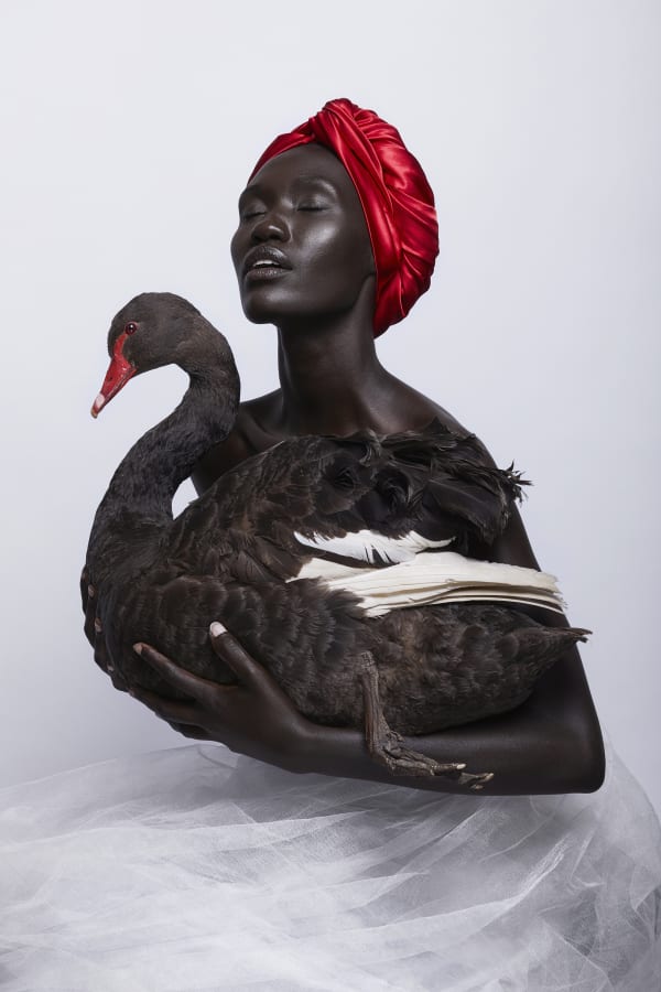 Justin Dingwall, CALL OF THE SIREN I, 2016