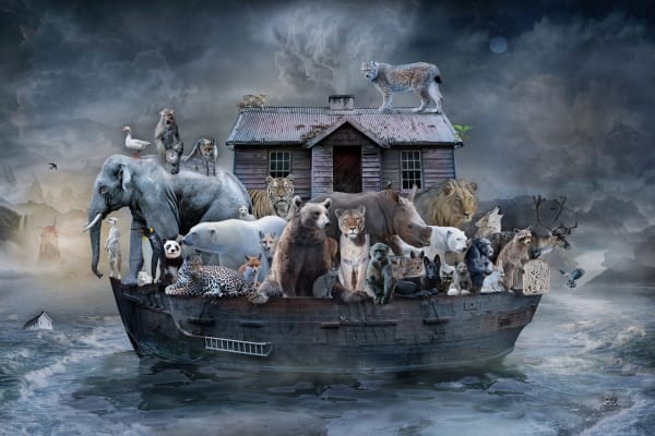 Marcin Owczarek, IN SEARCH OF SAFE HARBOUR, 2022