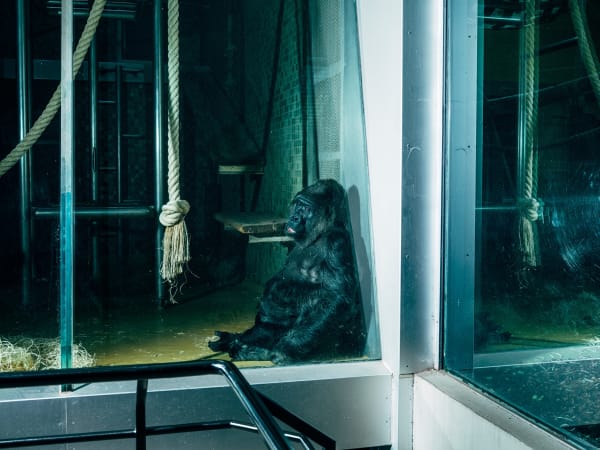 Nikita Teryoshin, Life Sentence 01, 2023