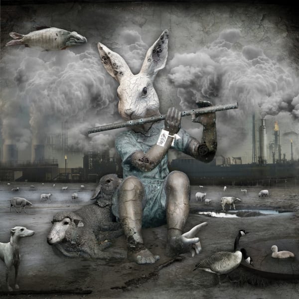Marcin Owczarek, GMO SHEPHERD, 2013