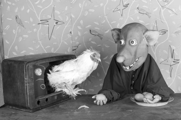 Roger Ballen, LURED, 2016