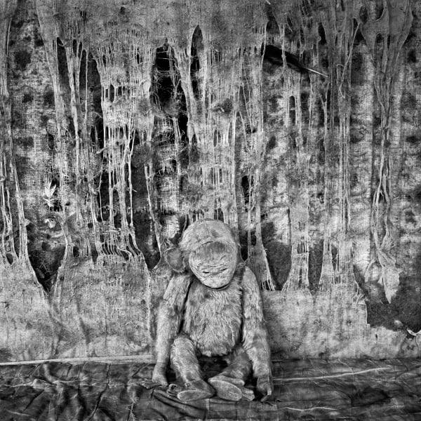 Roger Ballen, PATHOS, 2005