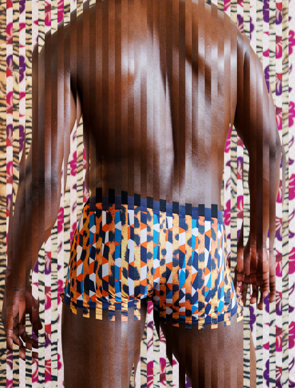 Gary Stephens, LEOPARD UNDERWEAR, 2015