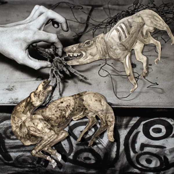 Roger Ballen, RIP, 2016