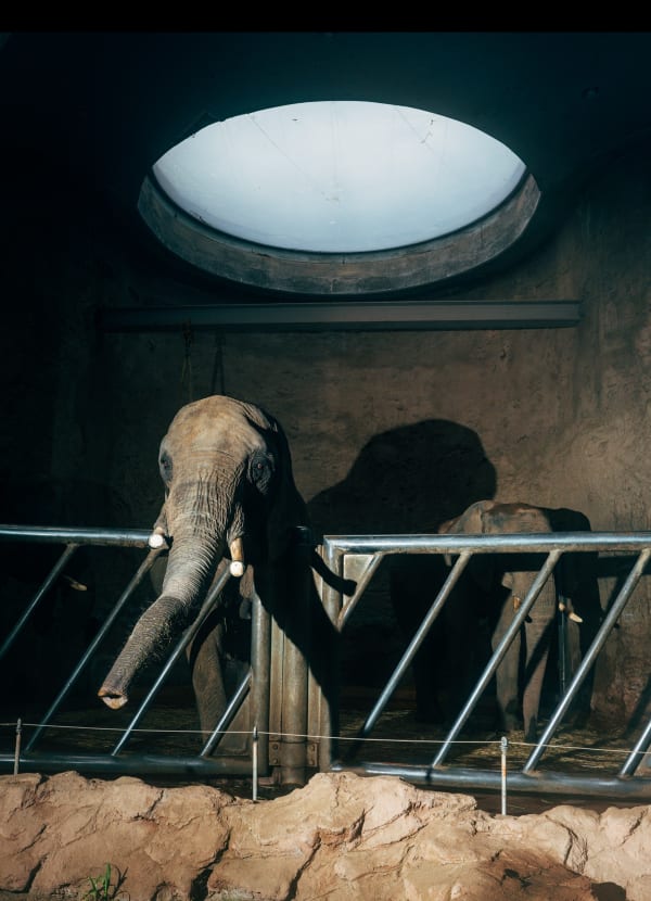 Nikita Teryoshin, Life Sentence 04, 2023