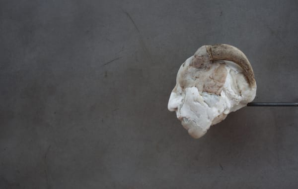 Daniel Blom, FRATRICIDE, 2016