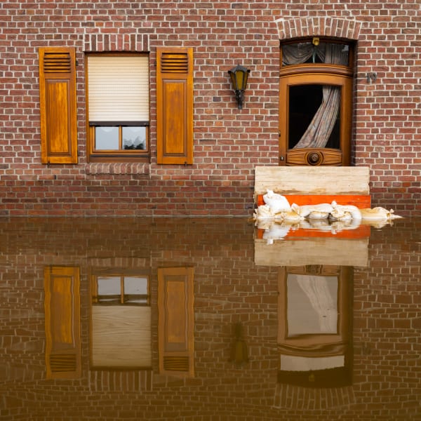 Gideon Mendel, A home on Marienstrasse, 2021
